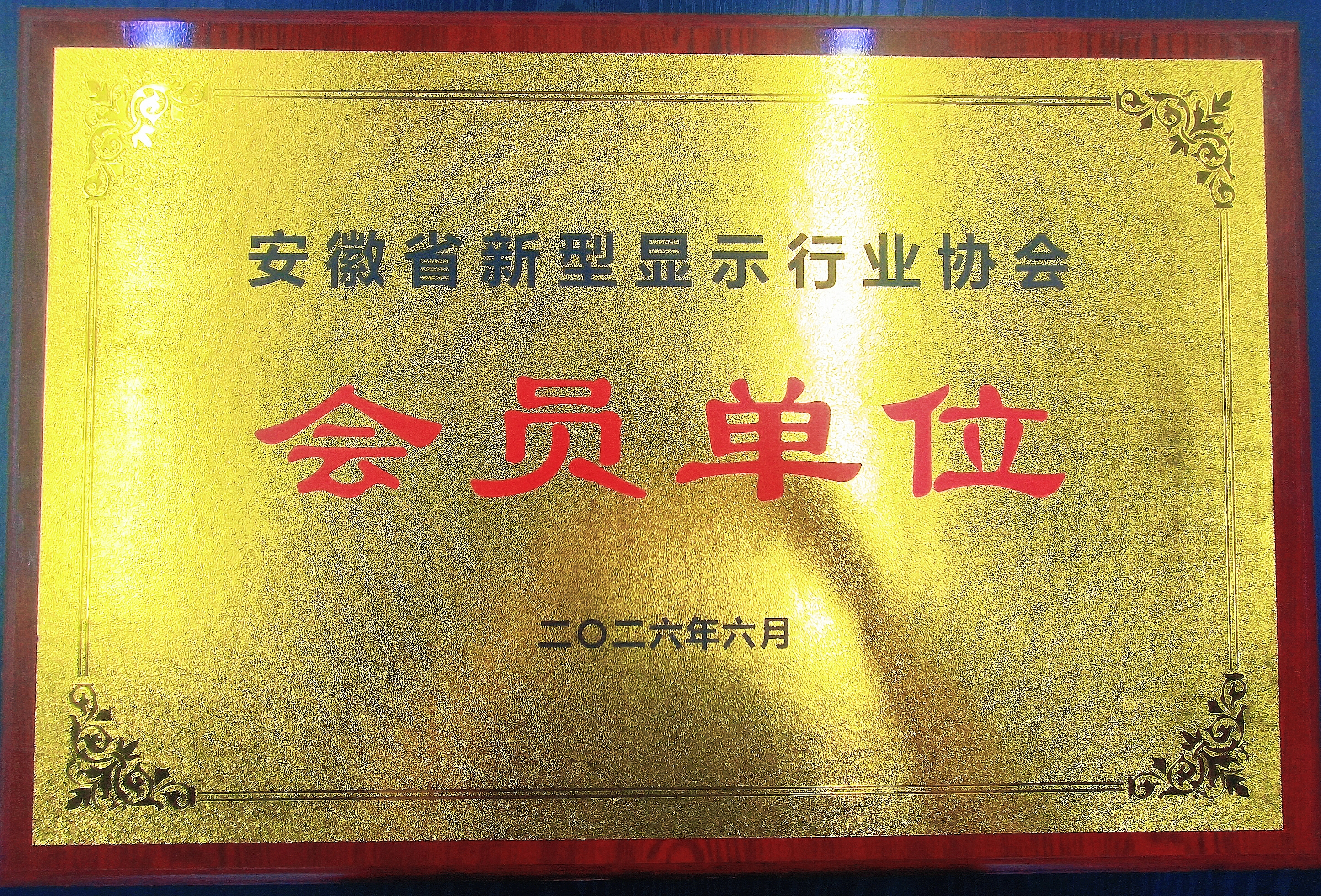 04.jpg